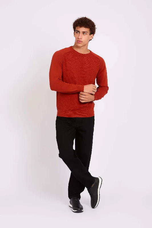 Men Regular Fit Pullover